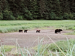 alaska