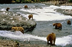 alaska