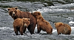alaska