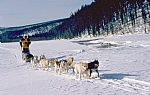 alaska
