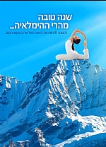 נטיקה