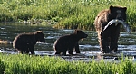alaska