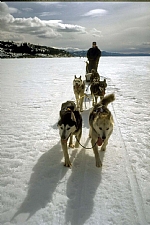 alaska