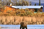 alaska