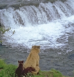 alaska